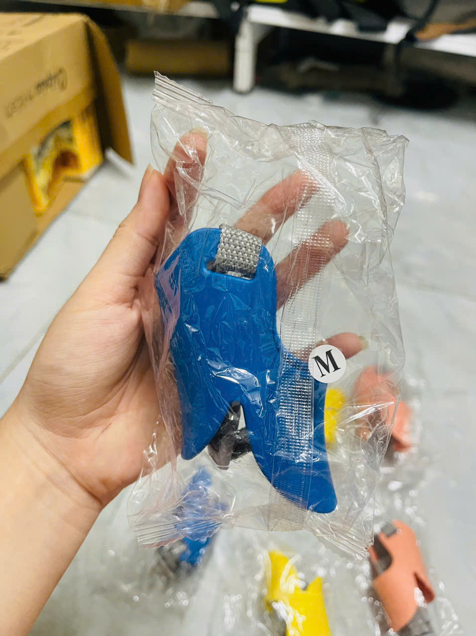 RỌ MÕM VỊT
