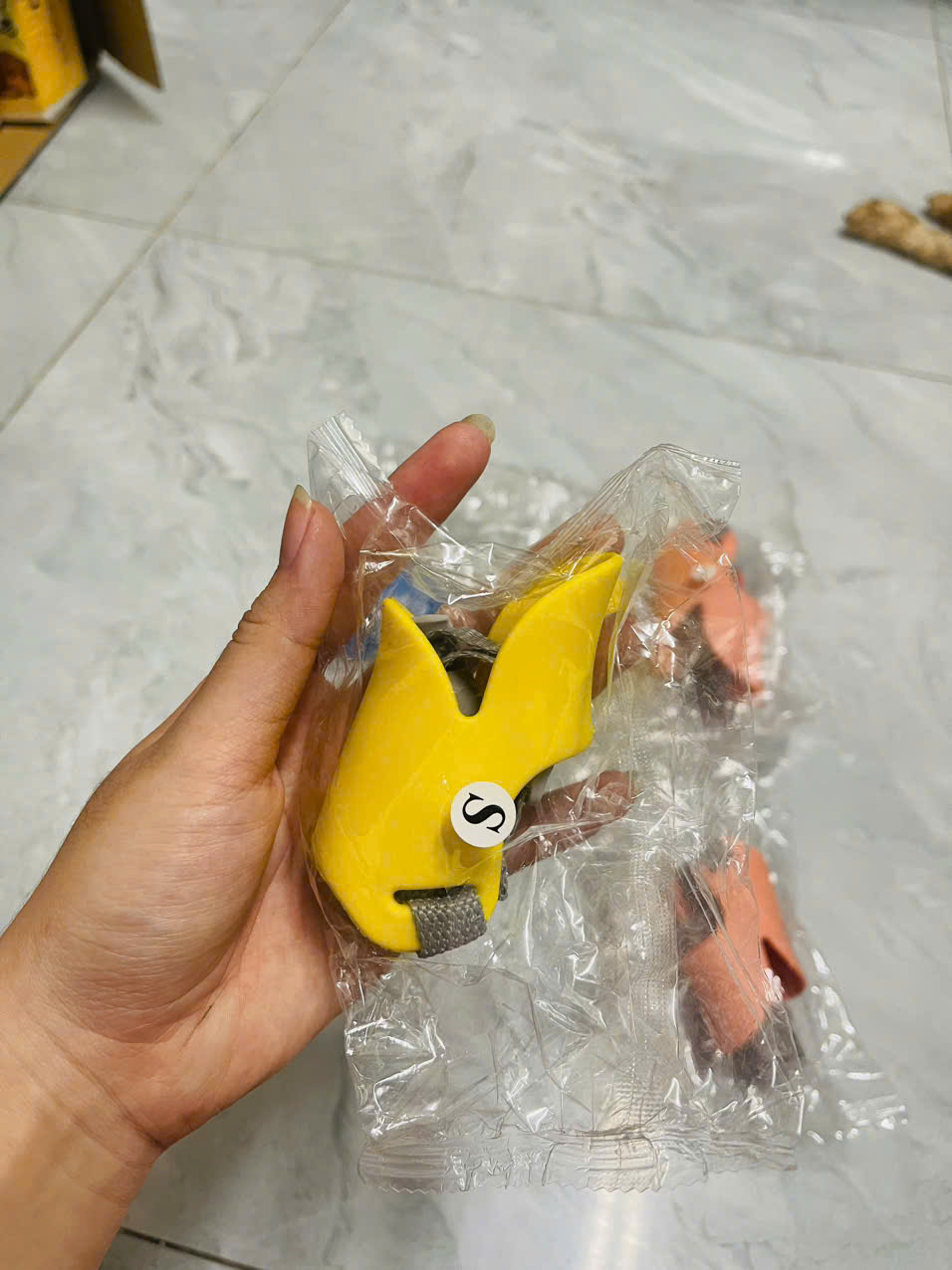 RỌ MÕM VỊT