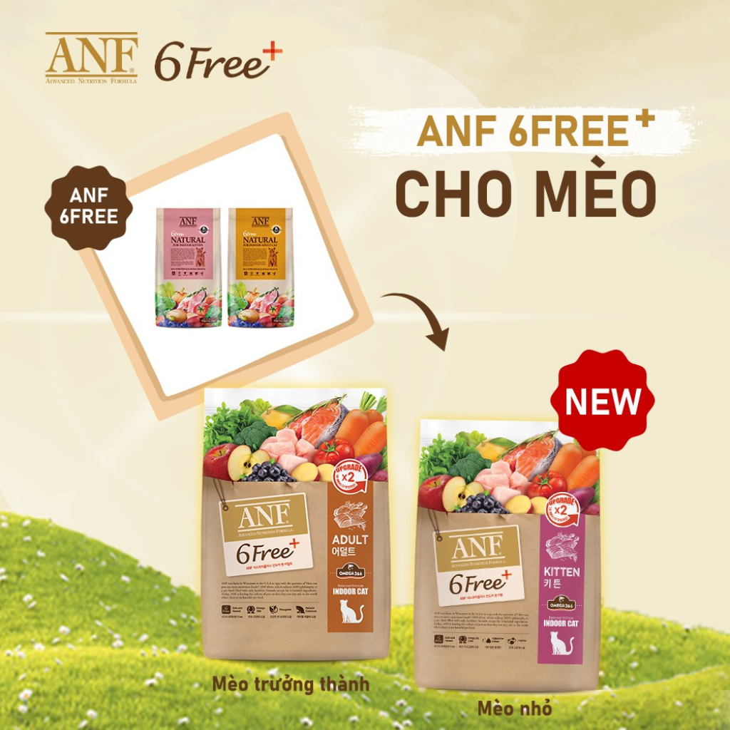 THỨC ĂN HẠT HỮU CƠ ANF - 6FREE CHO MÈO CON - GÓI 1KG6