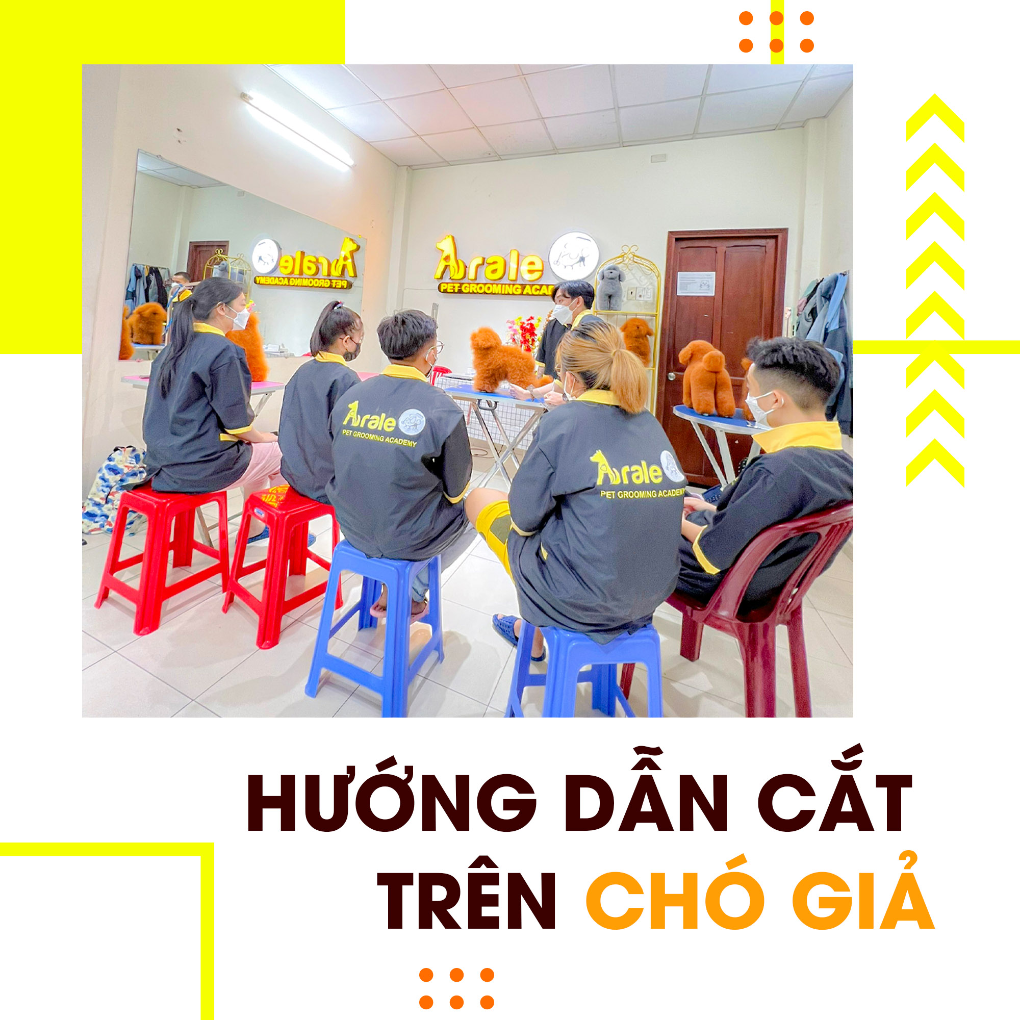 KHÓA HỌC CẮT TỈA LÔNG CHÓ MÈO LEVEL C