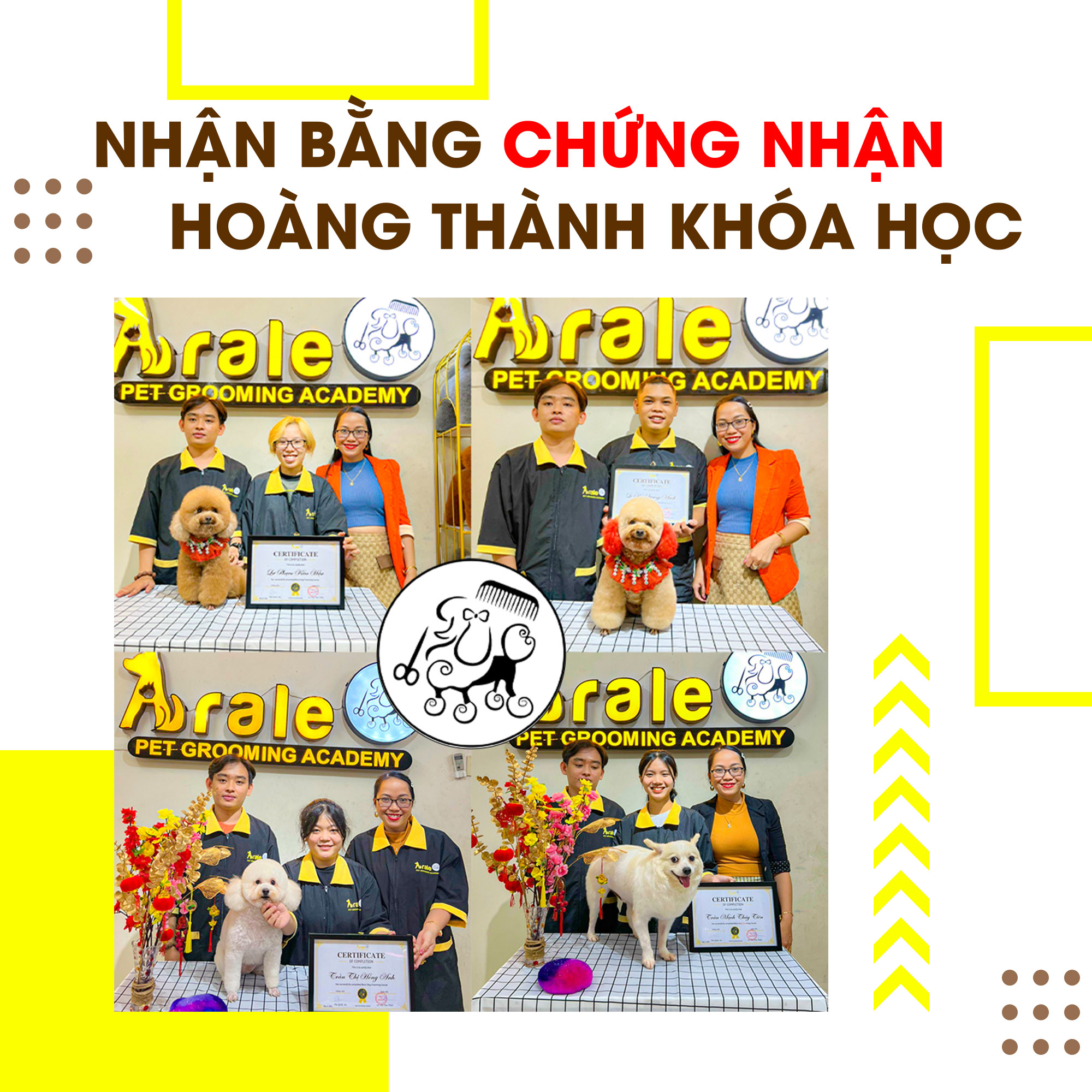 KHÓA HỌC CẮT TỈA LÔNG CHÓ MÈO LEVEL C