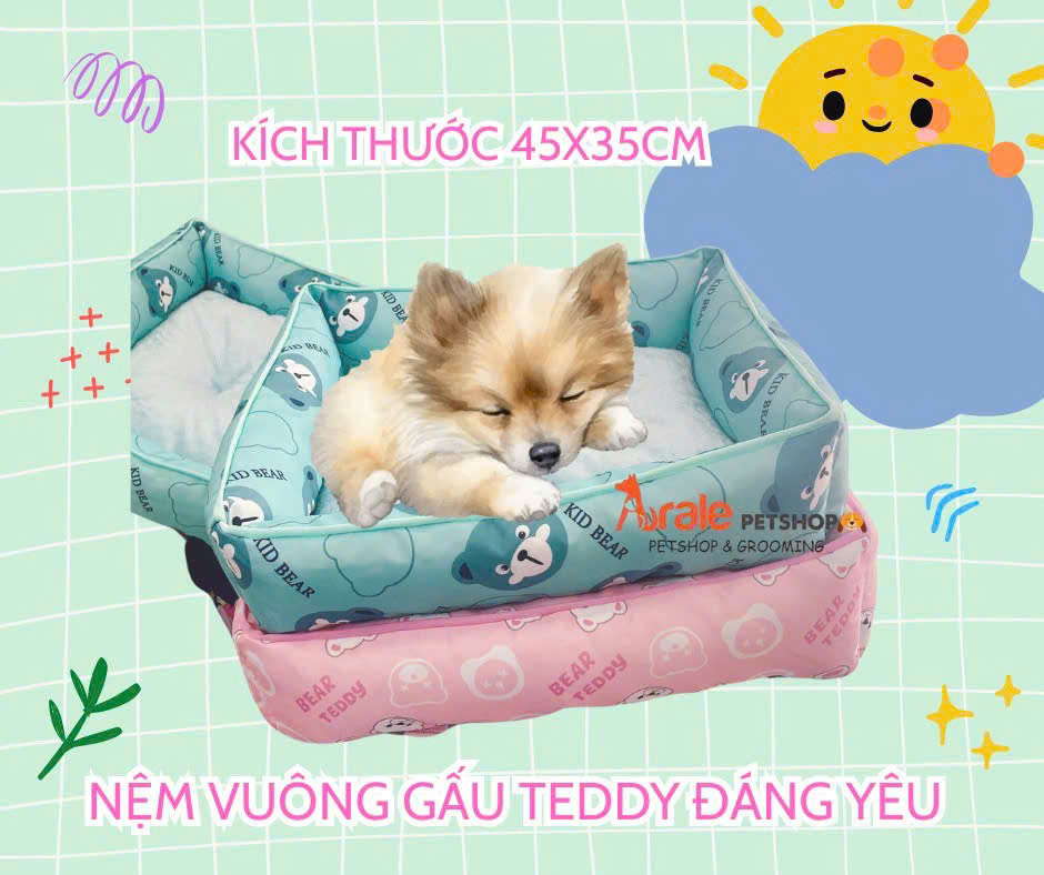NỆM VUÔNG HÌNH GẤU TEDDY SIÊU CUTE CHO CHÓ MÈO