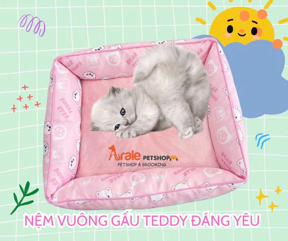 NỆM VUÔNG HÌNH GẤU TEDDY SIÊU CUTE CHO CHÓ MÈO