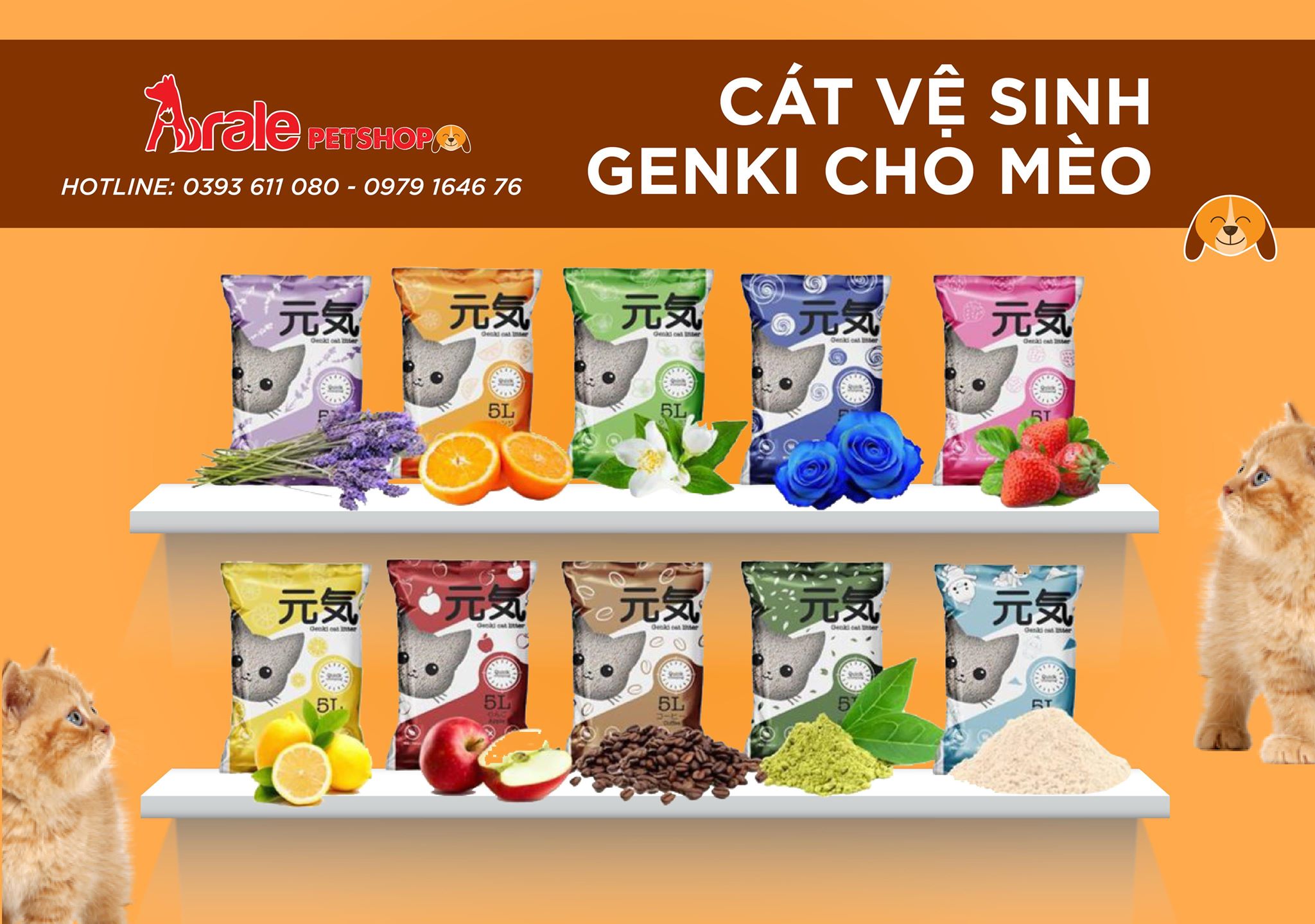 CÁT VỆ SINH GENKI CHO MÈO