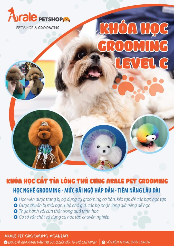 KHÓA HỌC GROOMING LEVEL C