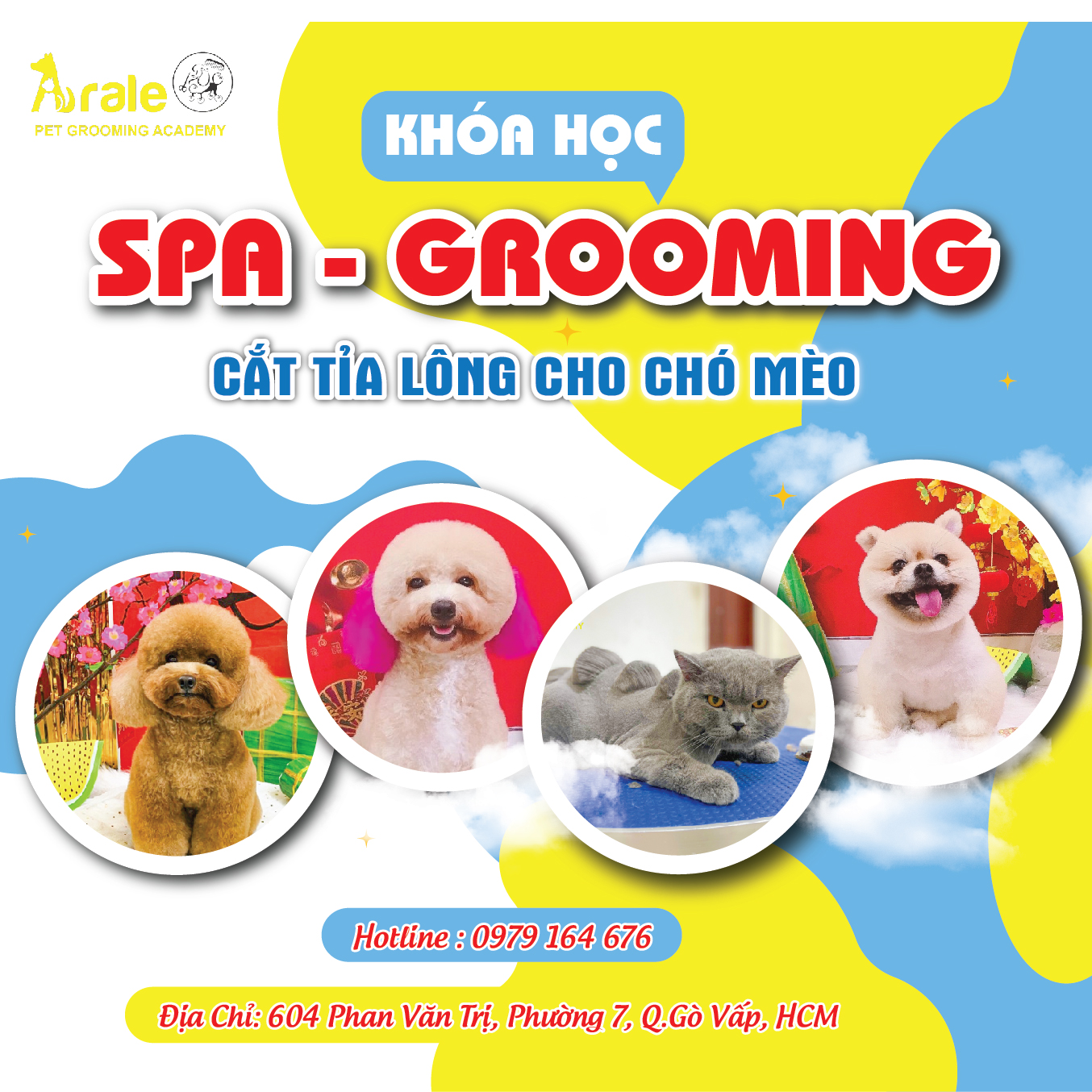 KHÓA HỌC CẮT TỈA LÔNG CHÓ MÈO LEVEL C