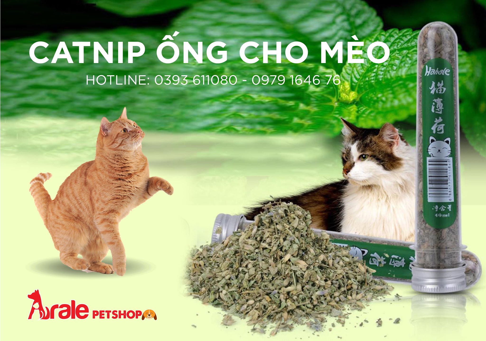 CATNIP ỐNG CHO MÈO 40ML