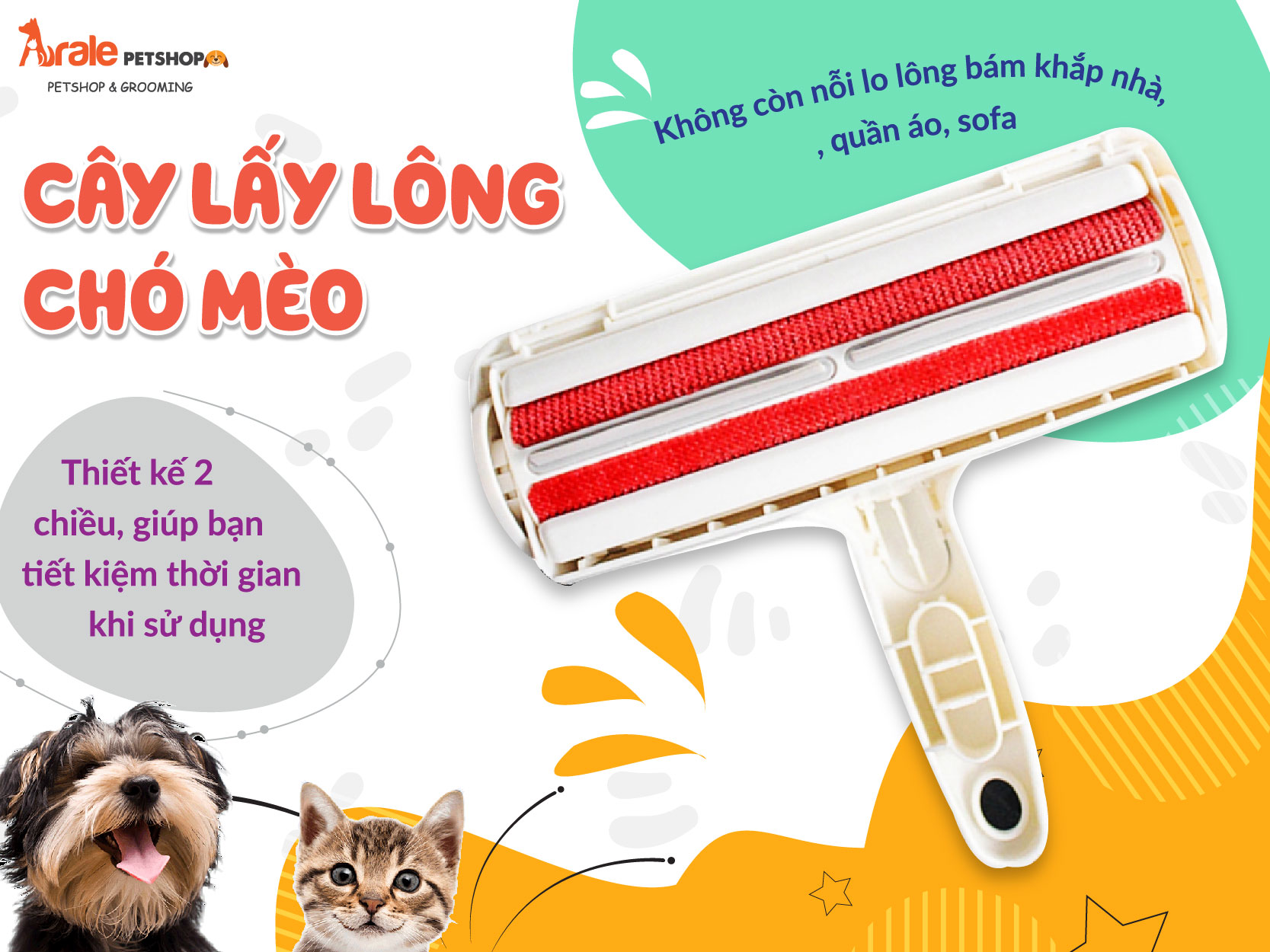 CÂY LẤY LÔNG CHÓ MÈO