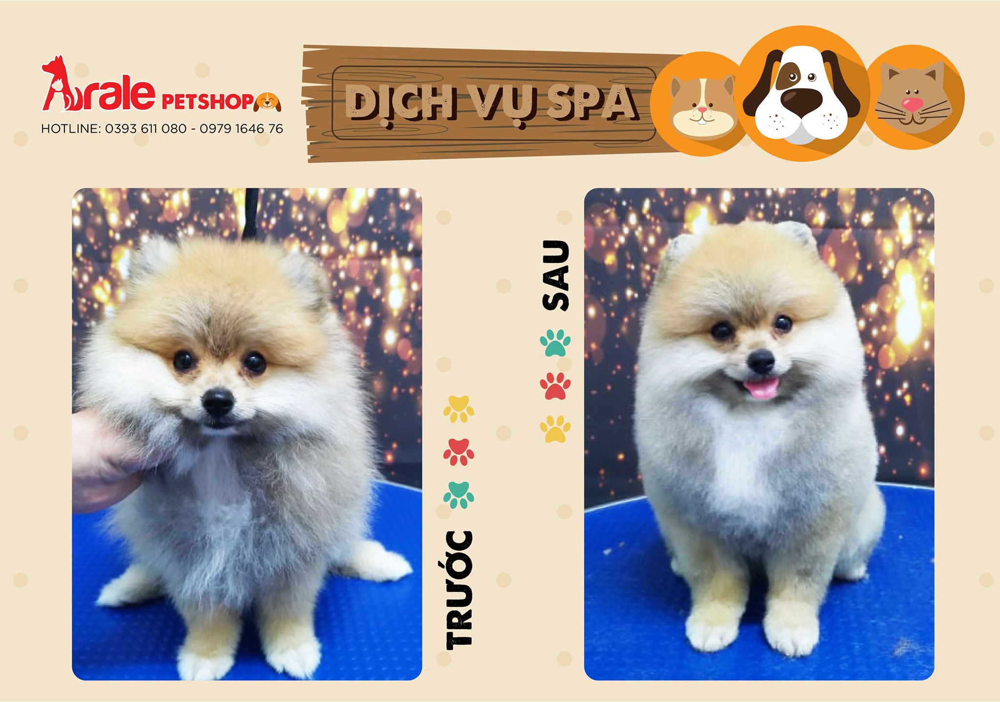 DỊCH VỤ CẮT TỈA LÔNG CHO CHÓ MÈO - GROOMING THẨM MỸ CHẤT LƯỢNG