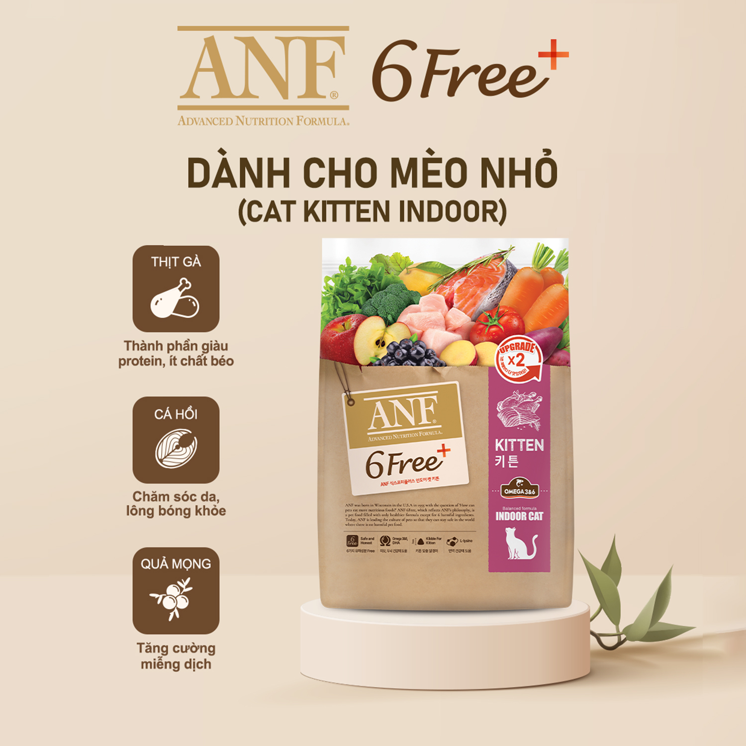 THỨC ĂN HẠT HỮU CƠ ANF - 6FREE CHO MÈO CON - GÓI 1KG6