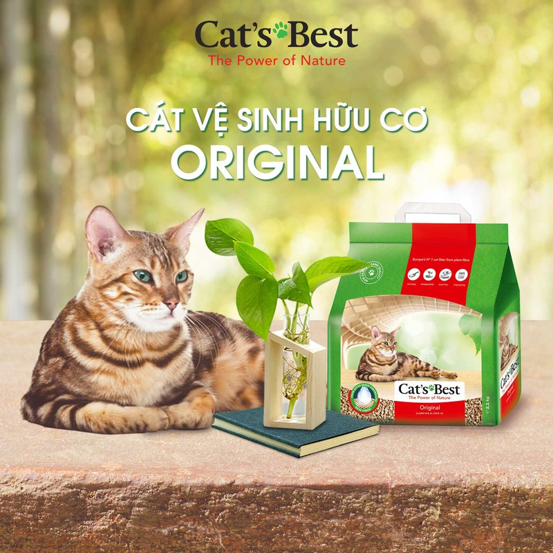 CÁT GỖ VỆ SINH ORIGINAL