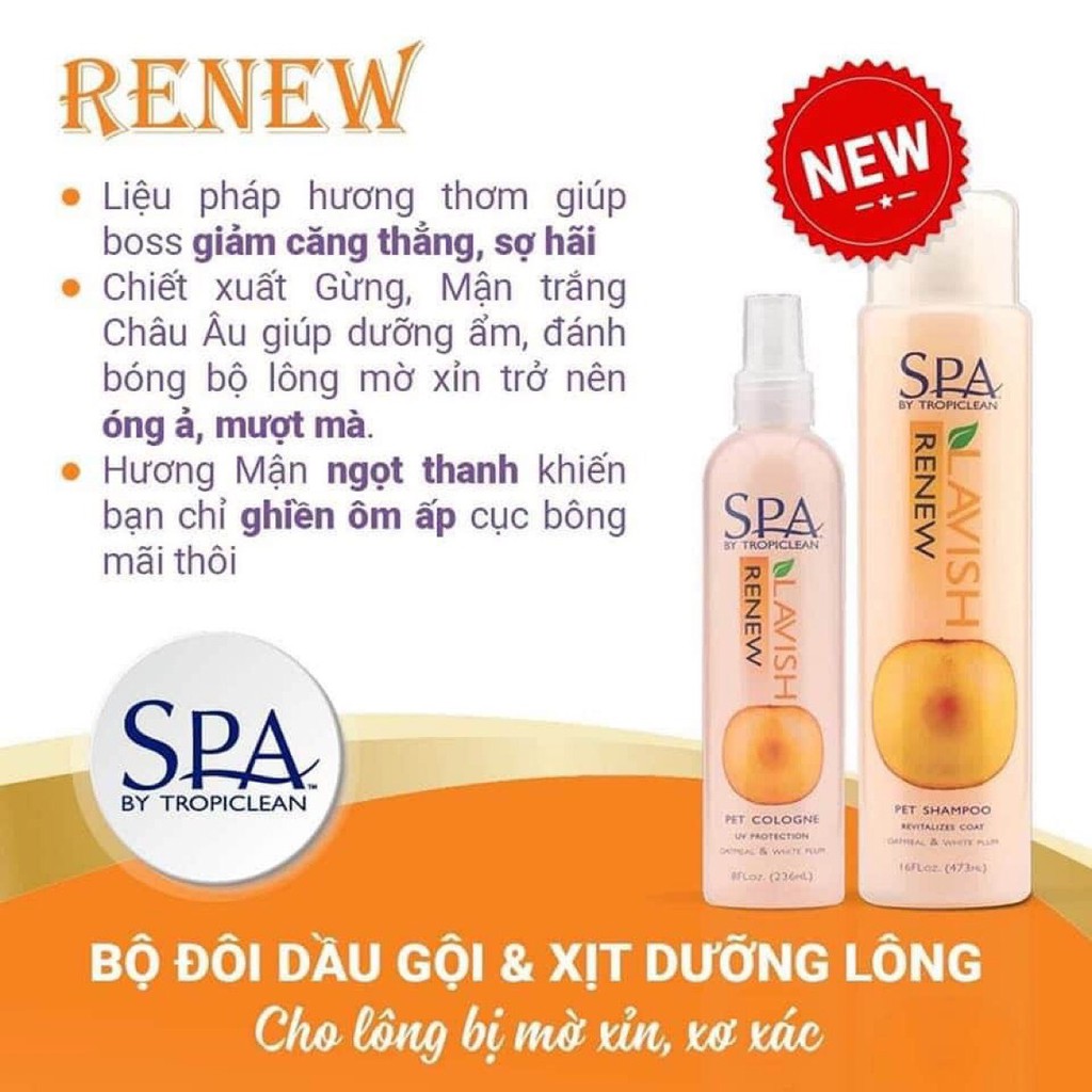 DẦU TẮM SPA RENEW SHAMPOO-PHỤC HỒI LÔNG XỈN MÀU HƯƠNG MẬN TRẮNG