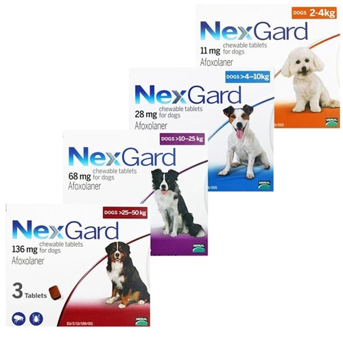 NEXGARD TRỊ GHẺ,VIÊM DA,VE RẬN ( CHÓ 10 - 25KG)