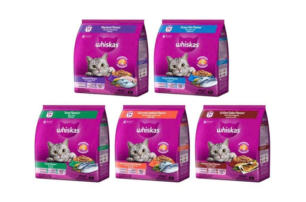 𝐓𝐇Ứ𝐂 Ă𝐍 𝐇Ạ𝐓 𝐖𝐇𝐈𝐒𝐊𝐀𝐒 𝐂𝐇𝐎 𝐌È𝐎 𝐓𝐑ƯỞ𝐍𝐆 𝐓𝐇À𝐍𝐇 𝟏.𝟐𝐤𝐠