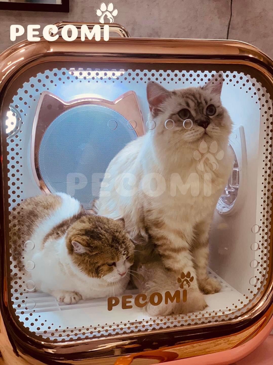 LỒNG SẤY CHÓ MÈO PECOMI PRO