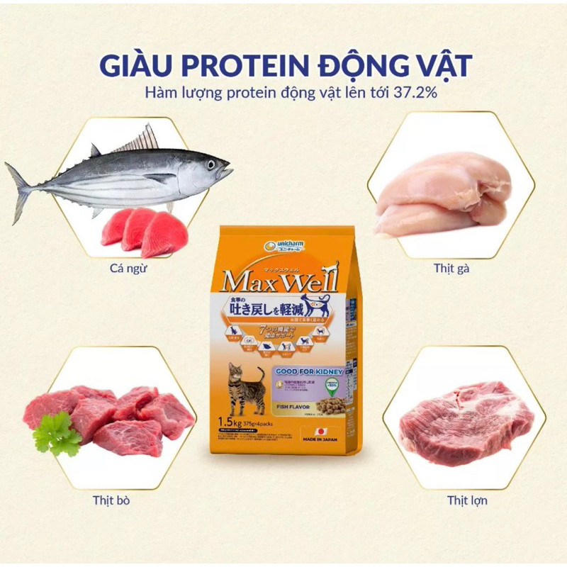 THỨC ĂN HẠT MAXWELL CHO MÈO