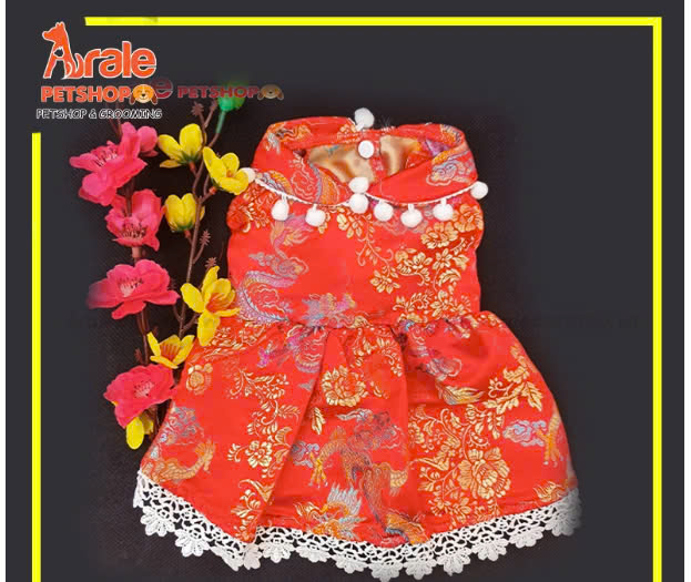 ĐẦM TẾT CHO CHÓ MÈO