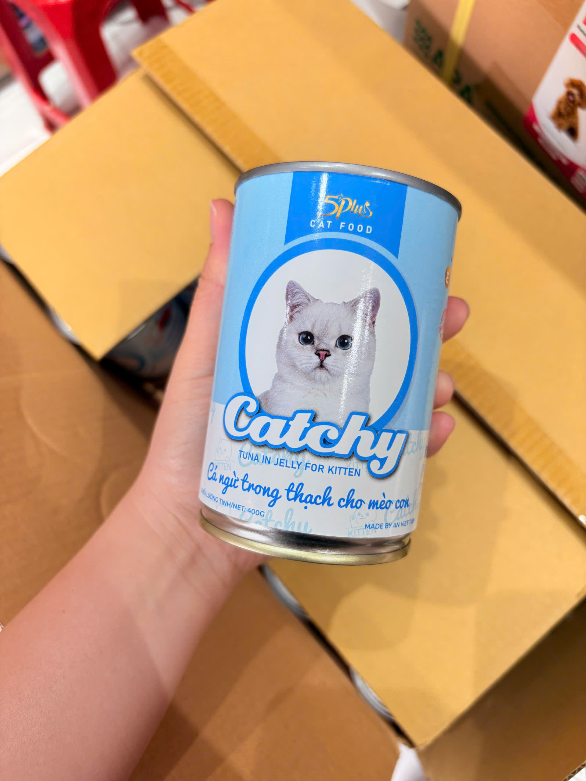 COMBO 10 LON 5PLUS CATCHY MÈO CON - PATE CHO MÈO CON 5PLUS CATCHY DẠNG THẠCH NHIỀU VỊ LON 400G