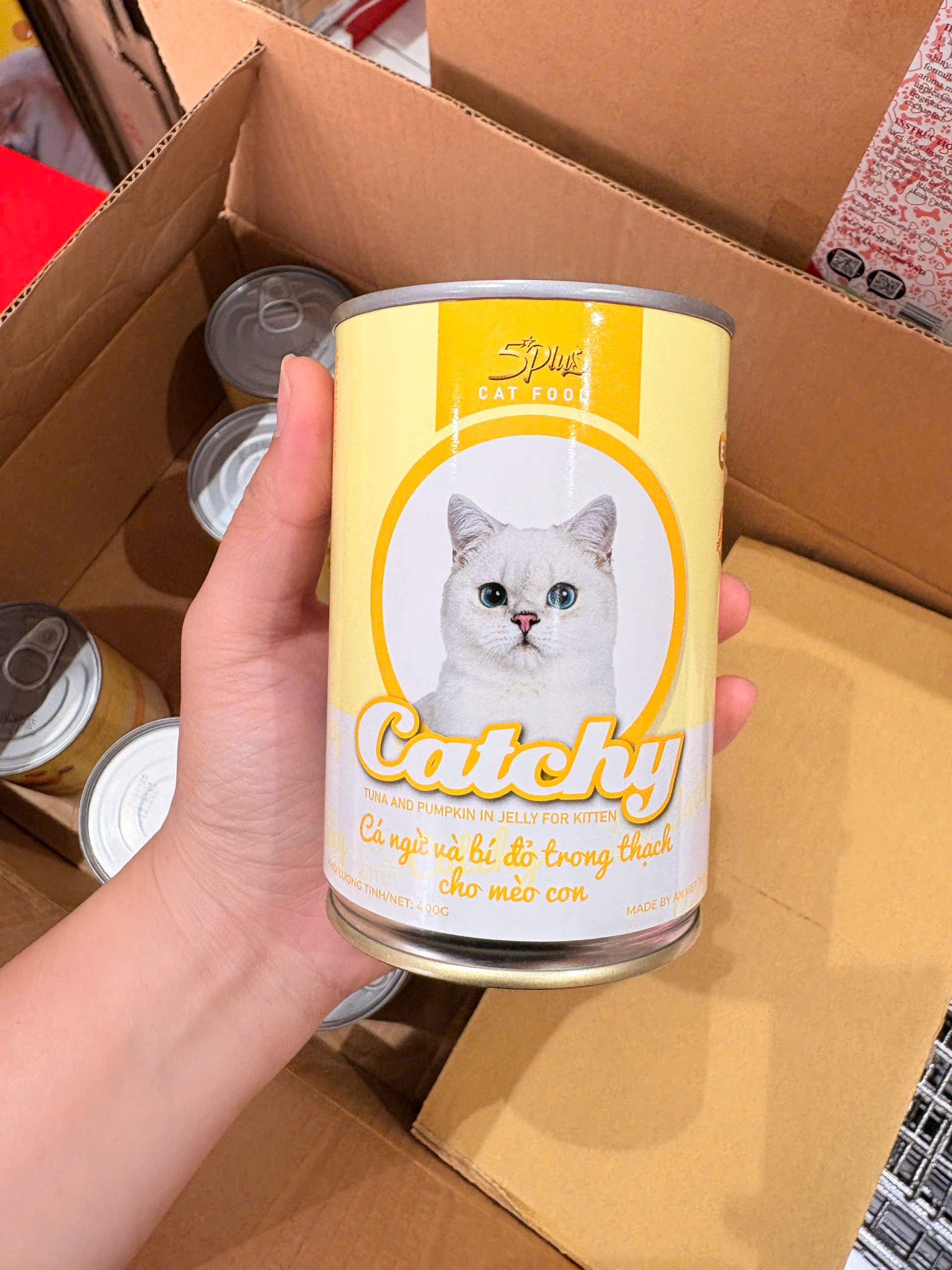COMBO 10 LON 5PLUS CATCHY MÈO CON - PATE CHO MÈO CON 5PLUS CATCHY DẠNG THẠCH NHIỀU VỊ LON 400G