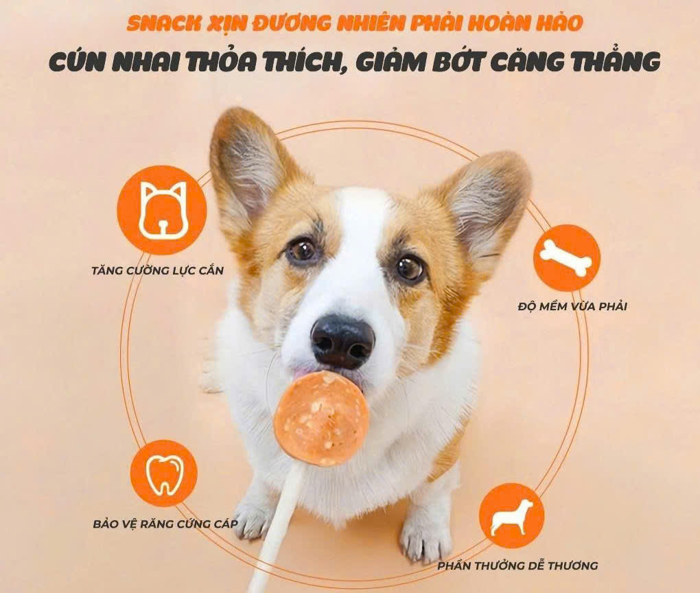 KẸO MÚT LOLIPOP DÀNH CHO CHÓ