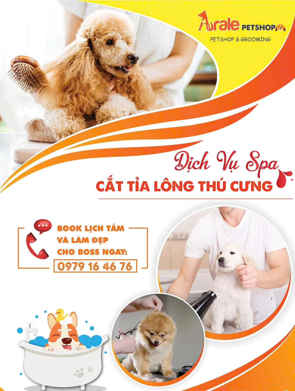 DỊCH VỤ TẮM CẠO CHO CHÓ