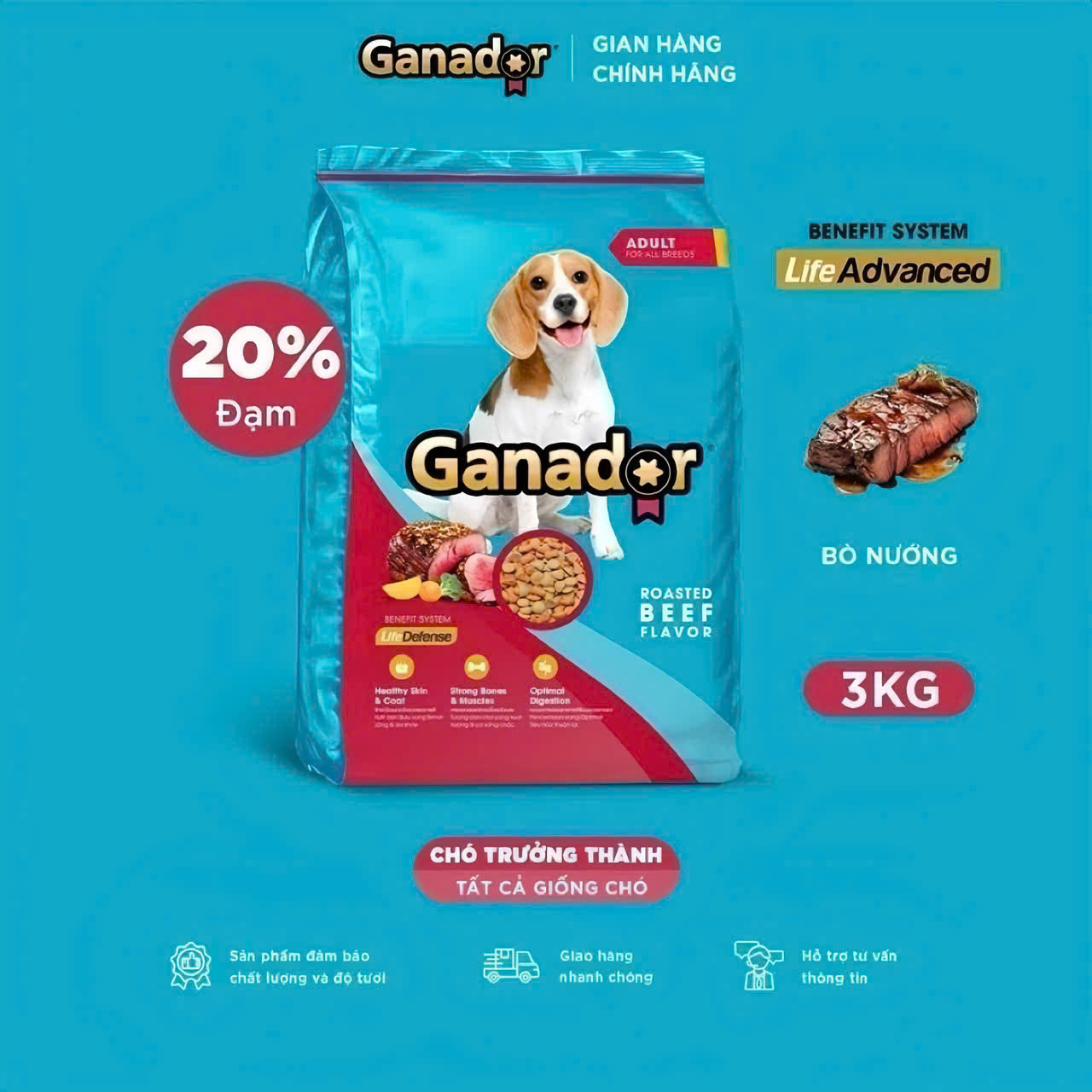 THỨC ĂN HẠT GANADOR ADULT  - VỊ BÒ NƯỚNG