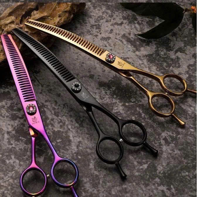 𝐊É𝐎 𝐓Ỉ𝐀 𝐂𝐎𝐍𝐆 𝐅𝐄𝐍𝐈𝐂𝐄 𝟕 𝐈𝐍𝐂𝐇