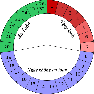 CÁCH TÍNH NGÀY RỤNG TRỨNG