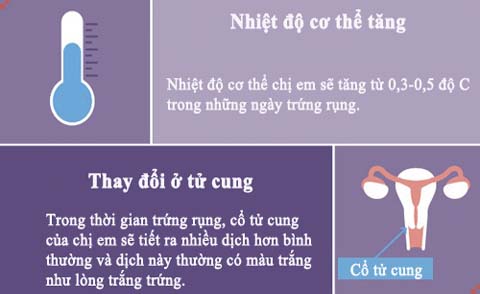 dấu hiệu rụng trứng