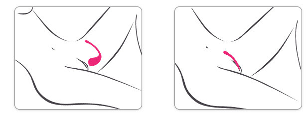 Trứng Rung Lush lovense USA sextoy kết nối điện thoại