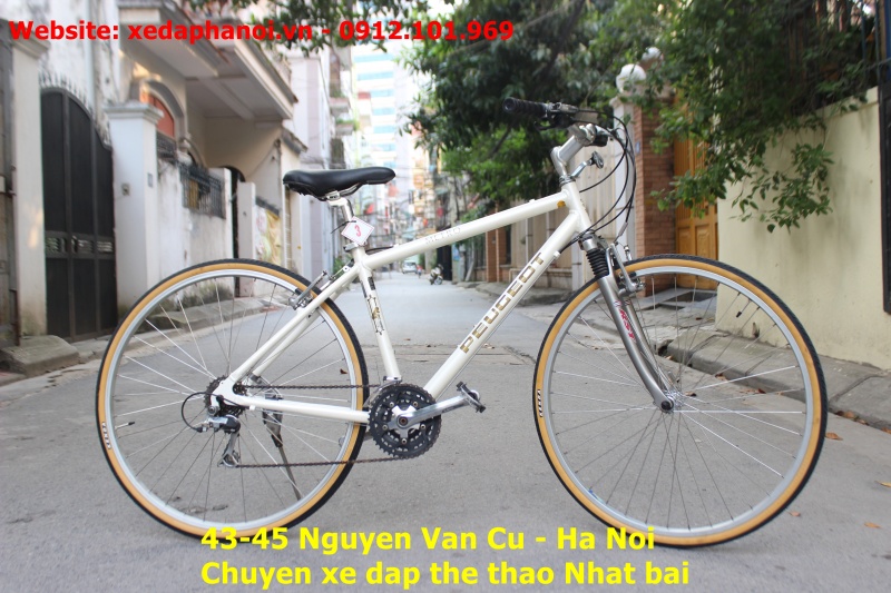 Xe đạp Peugeot LR01 Road