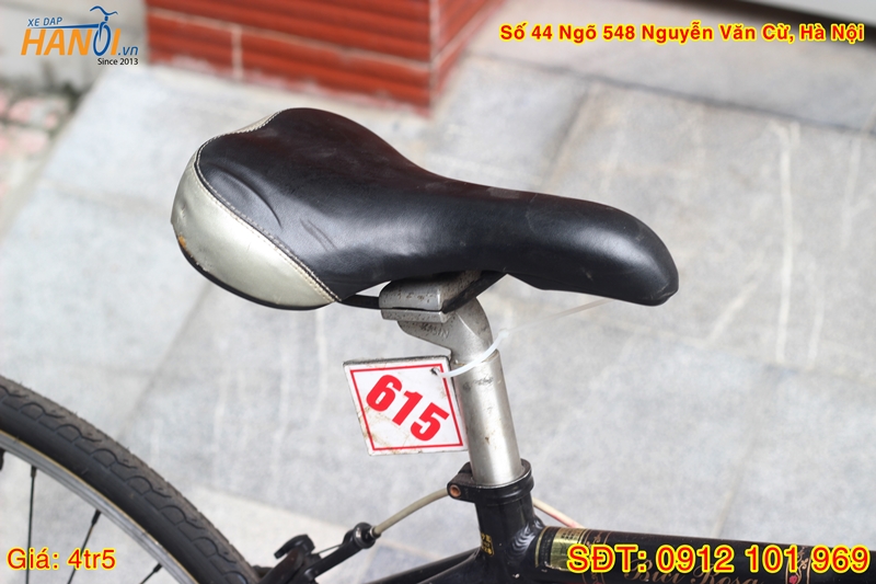Xe đạp Touring Nhật bãi Rici Rosa tới từ Nhật