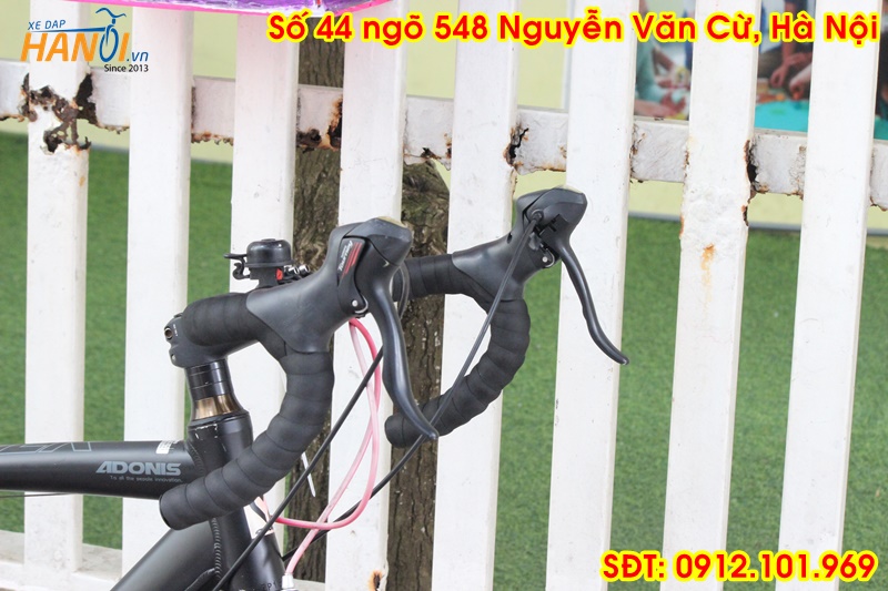 Xe đua nhật bãi Cannover Adonis đến từ Japan