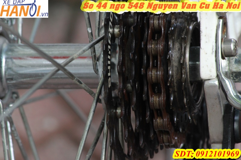 Xe đạp Touring Nhật bãi Cyma Primer đến từ Japan