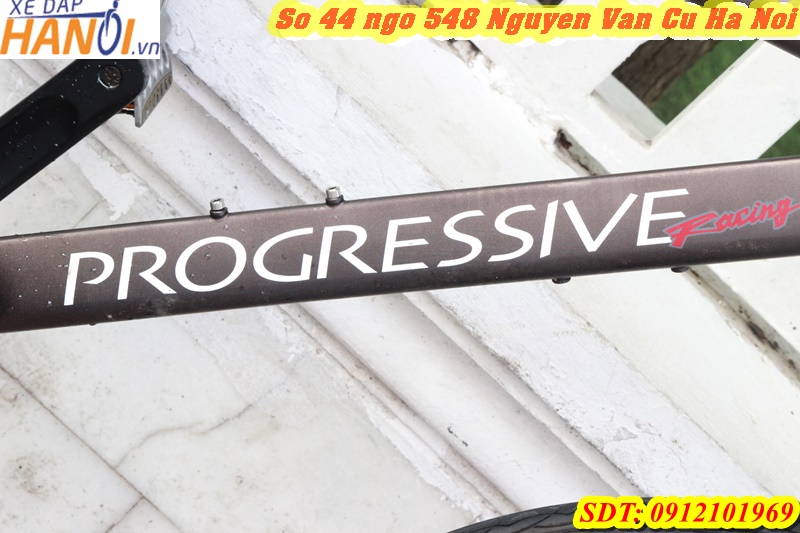 Xe đạp Touring Nhật bãi Progressive đến từ Japan
