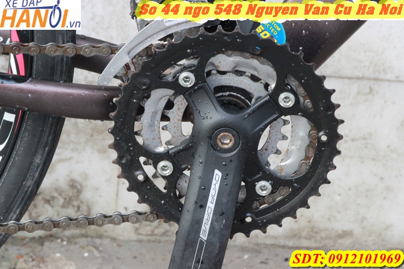 Xe đạp Touring Nhật bãi Progressive đến từ Japan