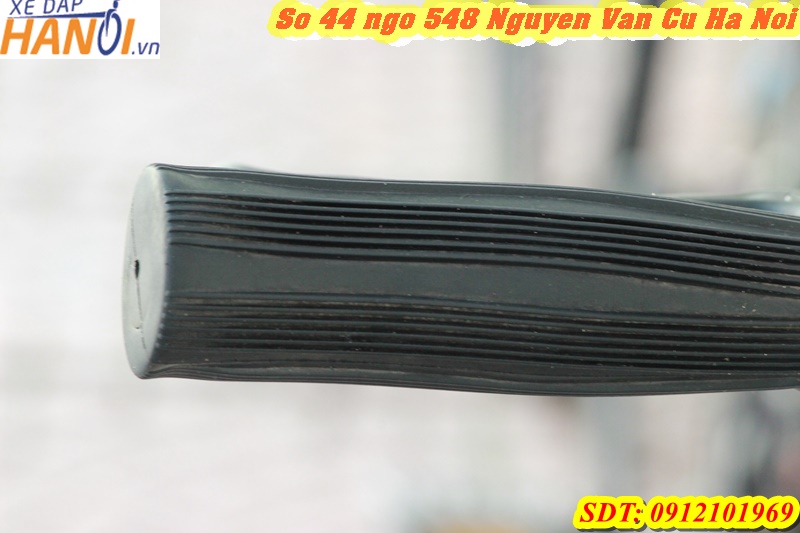 Xe đạp Nhật bãi Ganal đến từ Japan