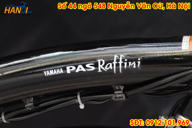 Xe trợ lực Nhật bãi Yahama Pas đến từ Japan