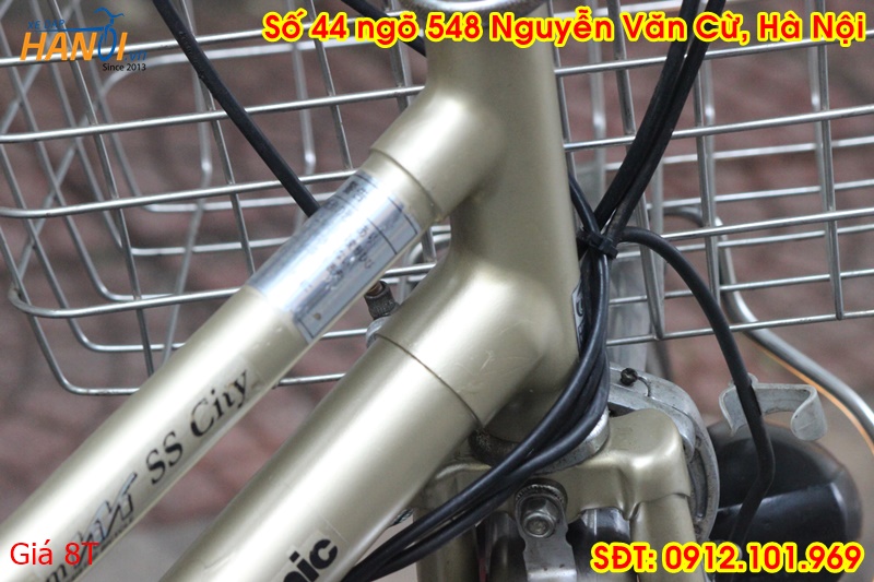 Xe trợ lực Nhật bãi Panasonic  đến từ Japan