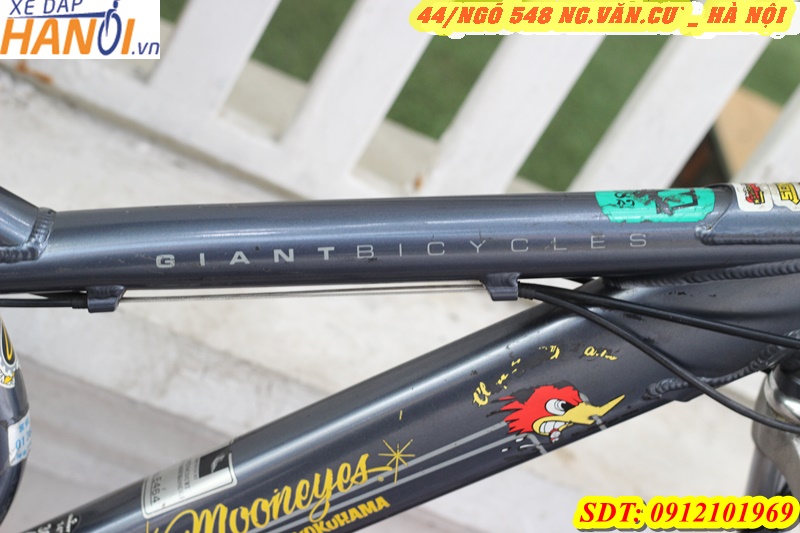 XE  NHẬT BÃI GIANT BICYCLES NDS ĐẾN TỪ TAIWANT