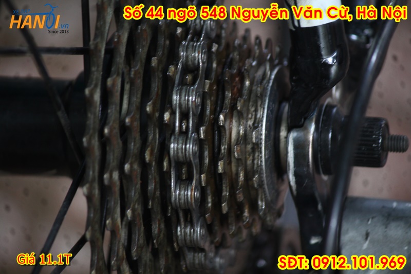 Xe đua Roading Nhật bãi Felt đến từ USA