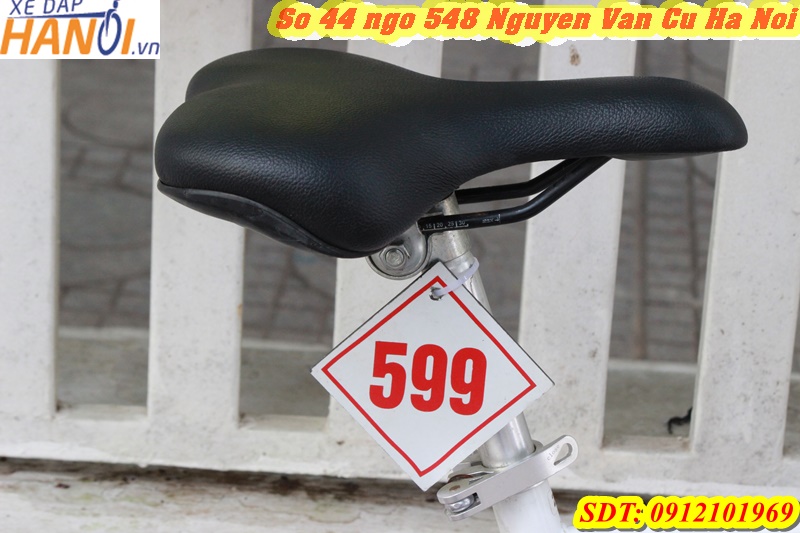 Xe đạp Nhật bãi Mirchikusa đến từ Japan