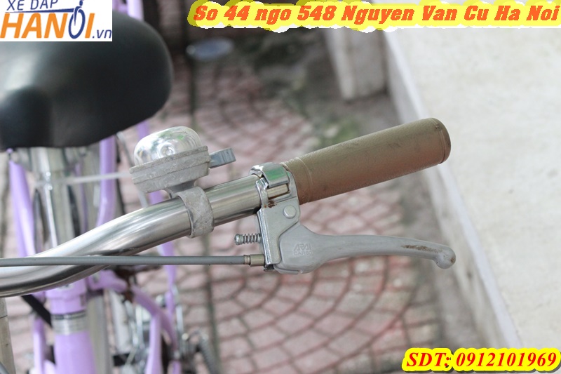 Xe đạp trẻ em Nhât bãi Beautiful Dream đến từ Japan