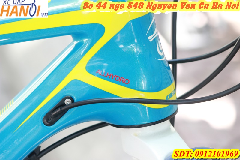 Xe MTB Decaron Carbon 660 đến từ Philipin