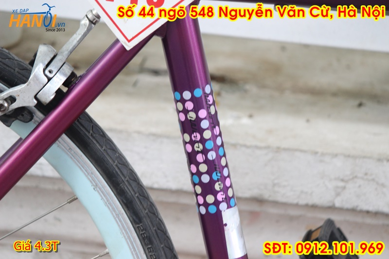 Xe Touring Nhật bãi Giant Moment đến từ Taiwant