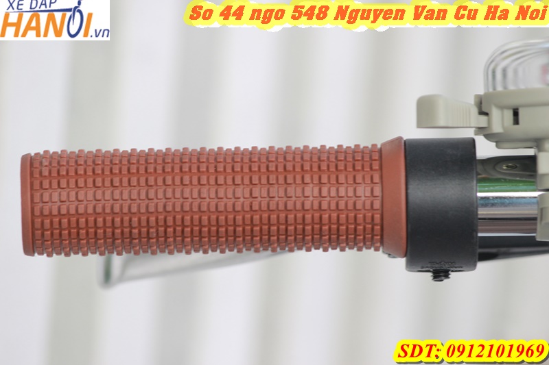 Xe đạp gấp Nhật Bản – Mypallas M246 - mới tinh