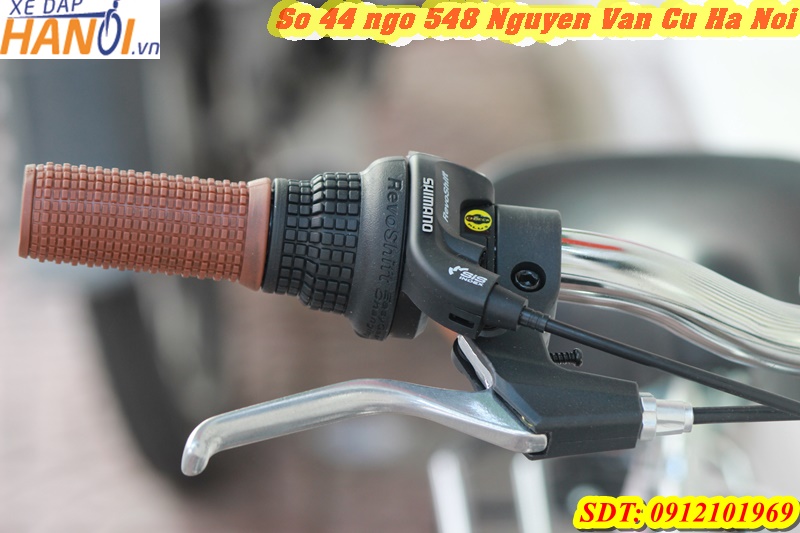 Xe đạp gấp Nhật Bản – Mypallas M246 - mới tinh