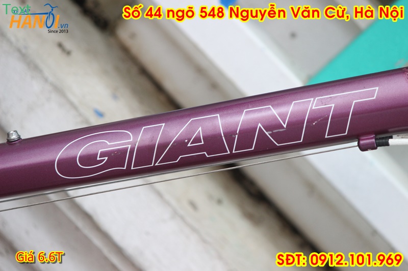 Xe Touring Nhật bãi Giant Glide đến từ Taiwant