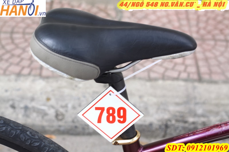 Xe đạp thể thao Touring Nhật bãi SCHWINN ĐẾN TÙ USA