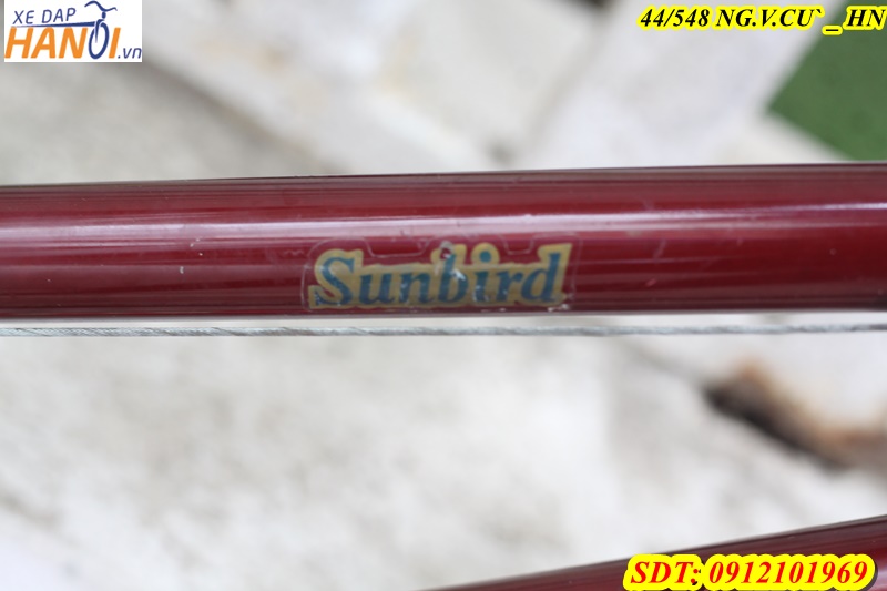 Xe đạp thể thao đua Roading FREE SPIRIT ĐẾN TỪ USA